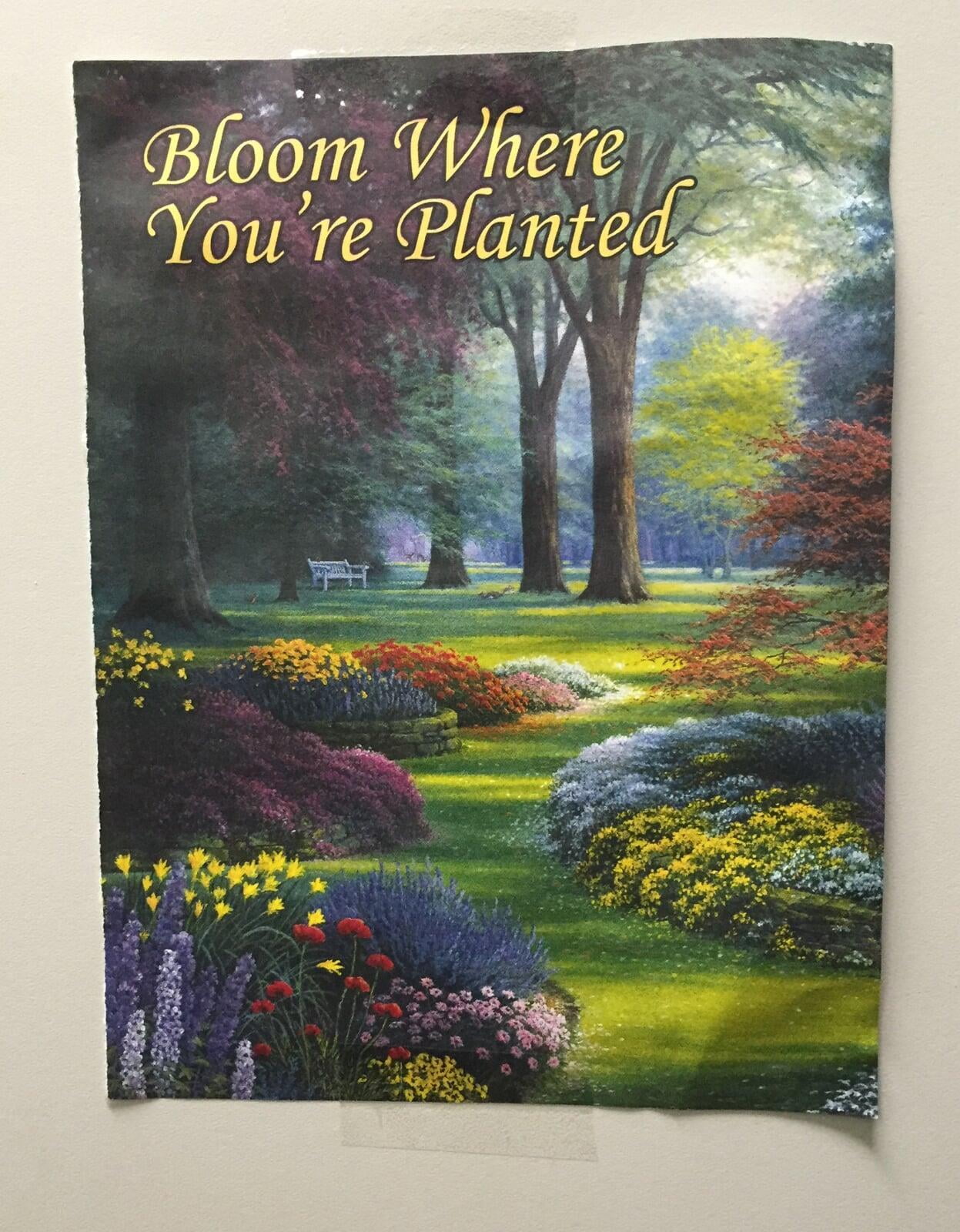 Learn how to stay encouraged and bloom where you're planted on www.MusicOnACart.com